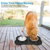 Double Dog Bowl With Silicone Mat Durable Stainless Steel, Cat Bowl INK94821