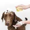 Bathroom Puppy Big Dog Cat Bath Massage Gloves Brush Soft Safety Silicone Pet Accessories for Dogs Cats Tools Mascotas Products Cleaning Pets | Inkpawarts.com