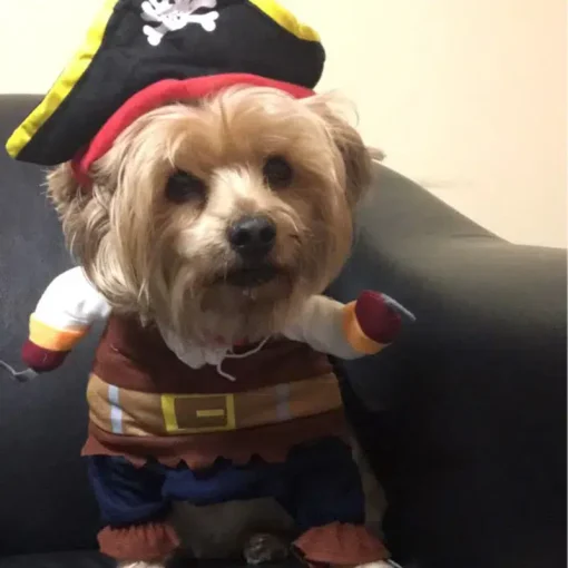 Pet Dog Clothes Halloween Costume Funny Halloween Pet Dog Costumes Pirate