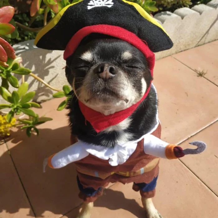 Pet Dog Clothes Halloween Costume Funny Halloween Pet Dog Costumes Pirate