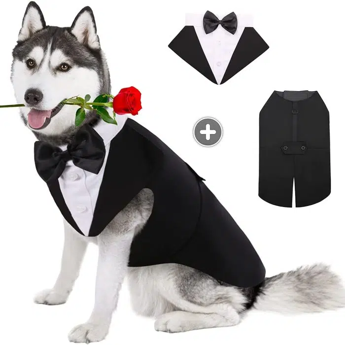 Pet Dog Halloween Dog Costumes Dog Tuxedo Formal Dog Suit and Bandana Set