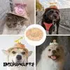 Funny Cute Pet Straw Hat Summer Small Pinwheel