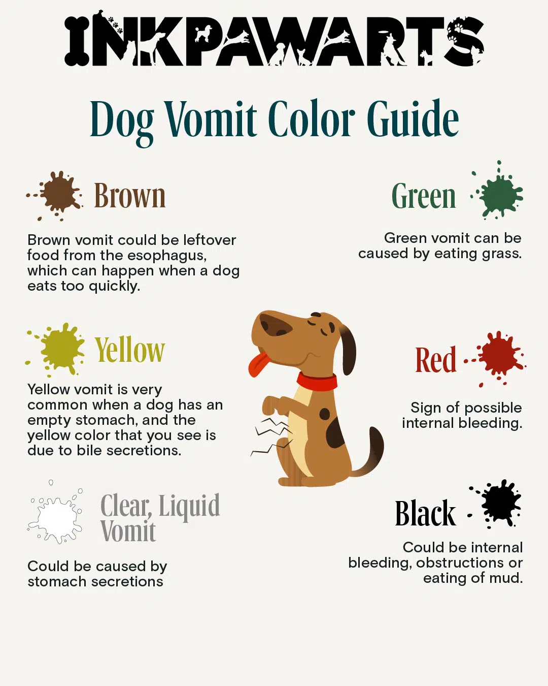 53 Diseases That Cause Dogs To Vomit