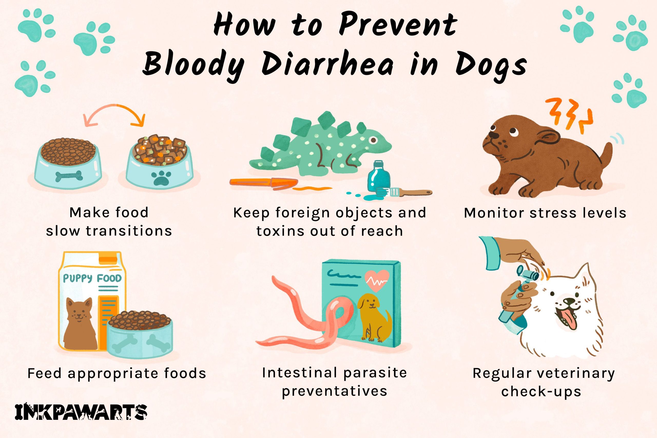 How to treat bloody diarrhea in dogs with medication?