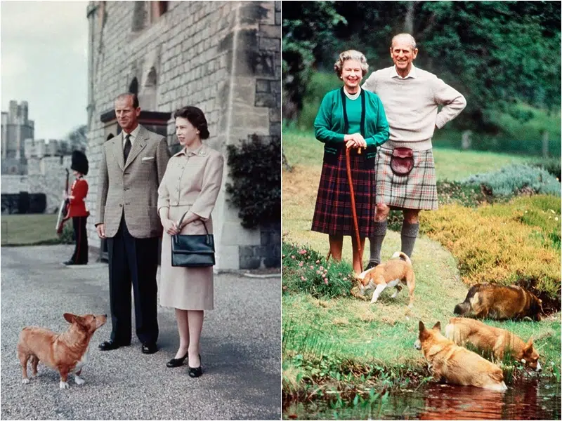 The Queen and Her Beloved Corgis A Bond Spanning Seven Decades