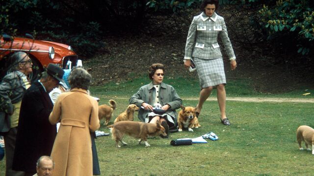 The Queen and Her Beloved Corgis A Bond Spanning Seven Decades