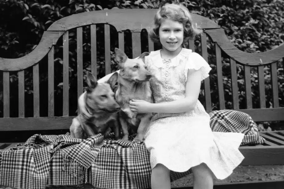 The Queen and Her Beloved Corgis A Bond Spanning Seven Decades